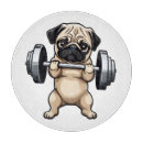 Buscar gimnasio tablas cortar Divertido