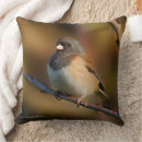 Buscar pajarita cojines Pájaro