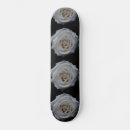 Buscar rosas tablas de skate Negro