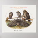 Buscar vintage bird arte Retro