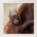 Buscar orangutanes puzzles Adorable