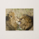 Buscar masai puzzles Comportamiento