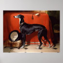 Buscar galgos posters General y unisex