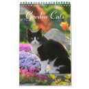 Buscar gatos lindos calendarios Animal