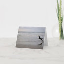 Buscar disco volador tarjetas Para todos