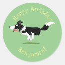 Buscar border collie pegatinas Pastoreo
