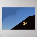 Buscar ventanas posters Azul