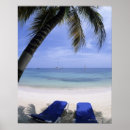 Buscar clima tropical posters Escena tranquila