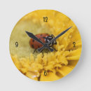 Buscar mariquita relojes de pared Negro