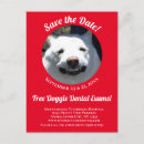 Buscar mascota postales Rojo