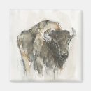 Buscar oeste imanes Bisonte