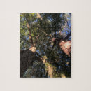 Buscar perspectiva puzzles Inspirador