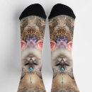 Buscar ragdoll ropa Felino