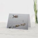 Buscar madre naturaleza tarjetas Salvaje