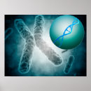 Buscar microbiología posters Ciencia