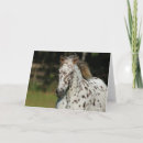 Buscar américa tarjetas Animal