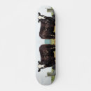 Buscar vaca tablas de skate Ganado