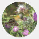 Buscar mariposa brillante pegatinas Rosa