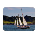 Buscar newport imanes Vela