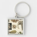 Buscar visual accesorios Naturaleza