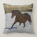 Buscar pura sangre cojines Ecuestre