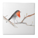 Buscar bird azulejos Acuarela