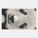 Buscar kawaii panda pegatinas Animal