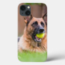 Buscar bola ipad fundas Animal
