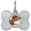 Buscar dinosaurio collares Niños
