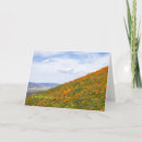 Buscar amapolas amarillas tarjetas Flores silvestres