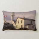 Buscar terranova cojines Costa