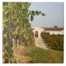 Buscar viñedos azulejos Vino