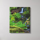 Buscar bosque tropical lienzos Cascada