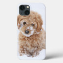 Buscar raza ipad fundas Lindo