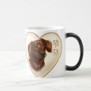 Buscar dachshund tazas Para mascotas