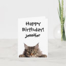 Buscar funny cat tarjetas Gatito