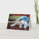 Buscar malas tarjetas Animales