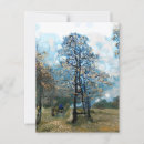 Buscar abeto postales General y unisex