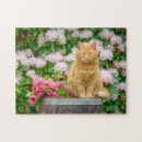 Buscar flores naranjas puzzles Para ella