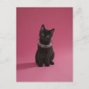 Buscar gatitos negros postales Adorable