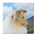 Buscar perro del collie azulejos Para todos