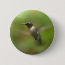 Buscar tirón accesorios Pájaro