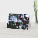 Buscar salmos tarjetas Saludo