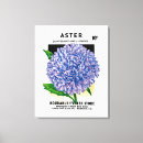 Buscar aster Vintage