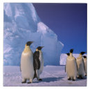 Buscar antartica azulejos Pete oxford