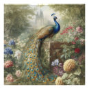 Buscar pavos posters Bosque