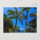 Buscar hanalei postales Verde