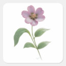 Buscar color liso pegatinas Rosa