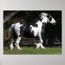 Buscar caballo gitano posters Negro y blanco