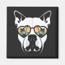 Buscar animales lindos imanes Para mascotas